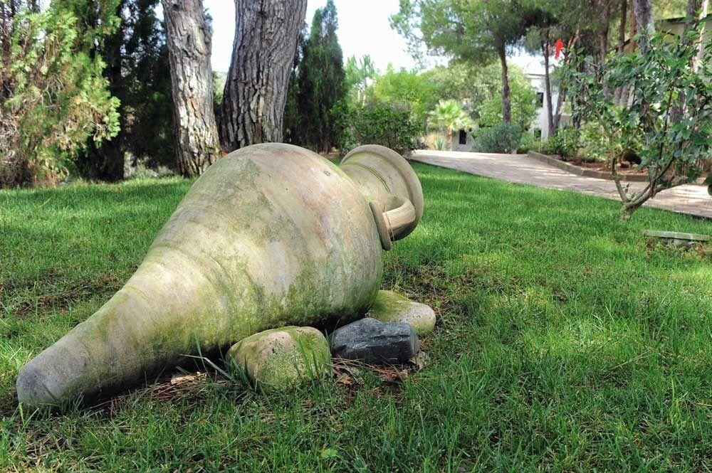 Villaggio Pineta Petto Bianco Капо-Ватикано Экстерьер фото