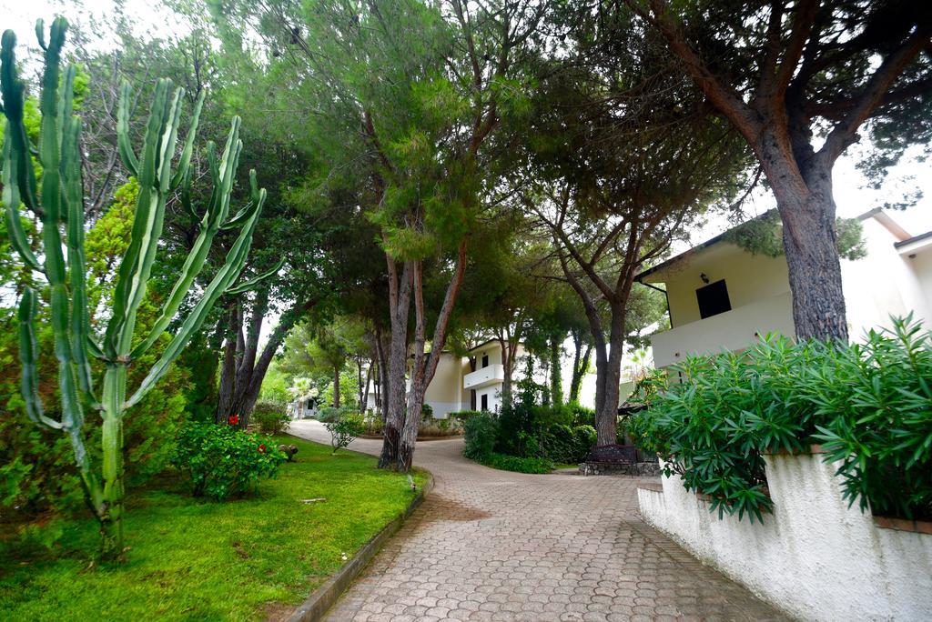 Villaggio Pineta Petto Bianco Капо-Ватикано Экстерьер фото